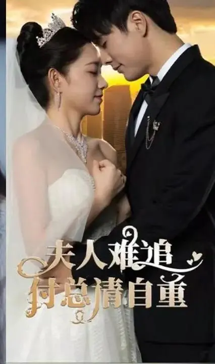夫人难追，付总请自重 海报