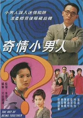 奇情小男人国语 海报