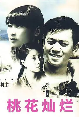《桃花灿烂(2007)》：爱情的错过与坚守，都市男女的情感迷局